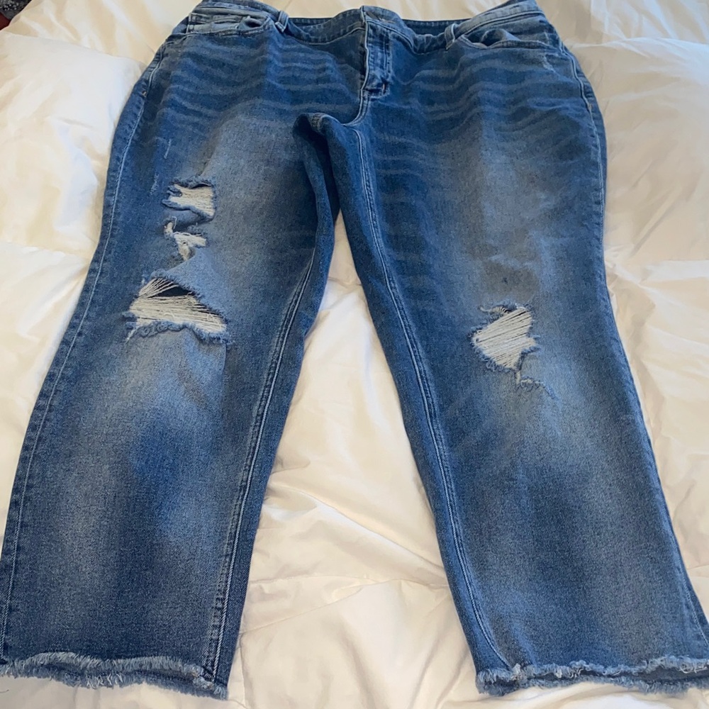 Lane Bryant Classic Blue Straight Leg Jeans